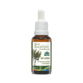 OLEO DE EUCALIPTO PRONTO PARA PELE 30ML