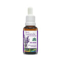 OLEO DE LAVANDA PRONTO PARA PELE 30ML